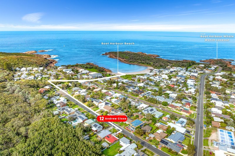 Photo - 12 Andrew Close, Boat Harbour NSW 2316 - Image 6