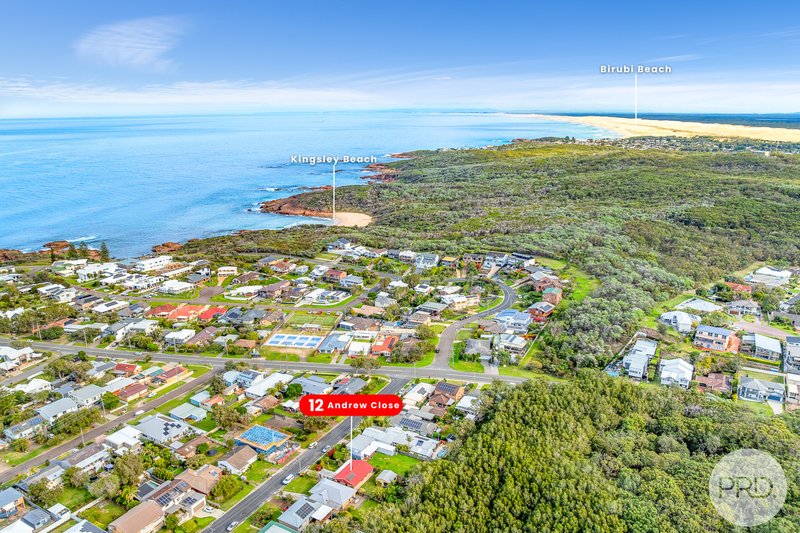 Photo - 12 Andrew Close, Boat Harbour NSW 2316 - Image 11