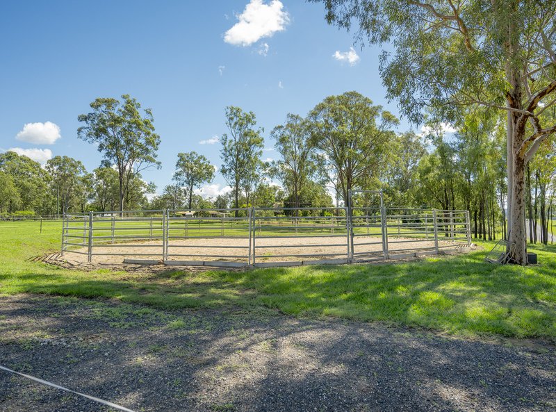 Photo - 12 Anna Court, Placid Hills QLD 4343 - Image 5