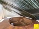Photo - 12 Barnes Street, Earlville QLD 4870 - Image 29