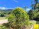 Photo - 12 Barnes Street, Earlville QLD 4870 - Image 32