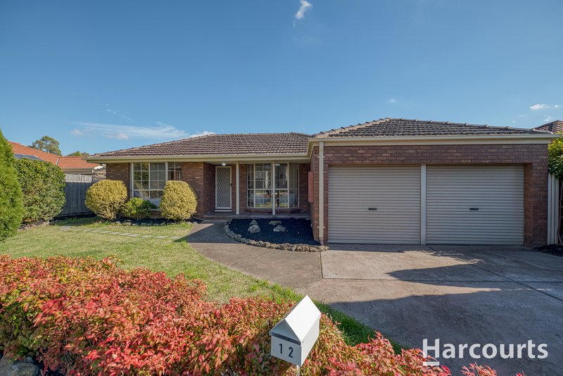 12 Bemboka Court, Wantirna South VIC 3152