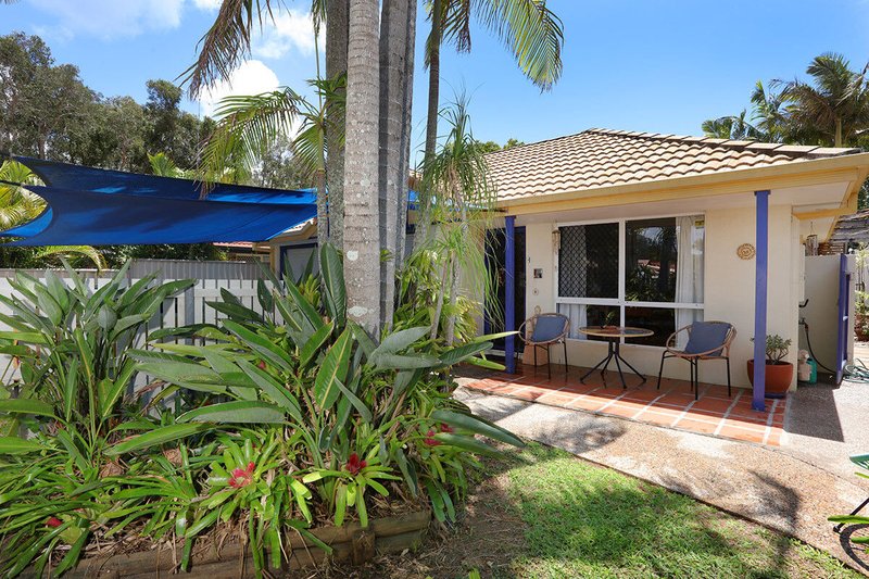 Photo - 12 Bernini Drive, Coombabah QLD 4216 - Image 18