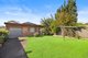 Photo - 12 Bexley Road, Campsie NSW 2194 - Image 8