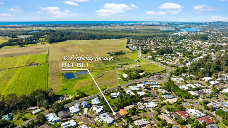 Photo - 12 Birdwing Avenue, Bli Bli QLD 4560 - Image 2