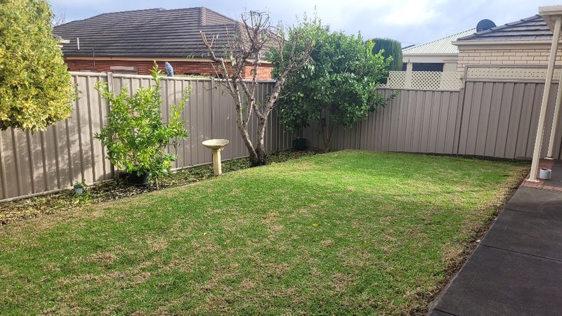 Photo - 12 Bishop Place, Northgate SA 5085 - Image 9