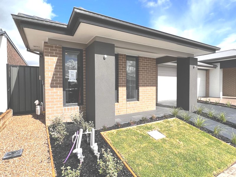 Photo - 12 Bowenia Avenue, Craigieburn VIC 3064 - Image 2