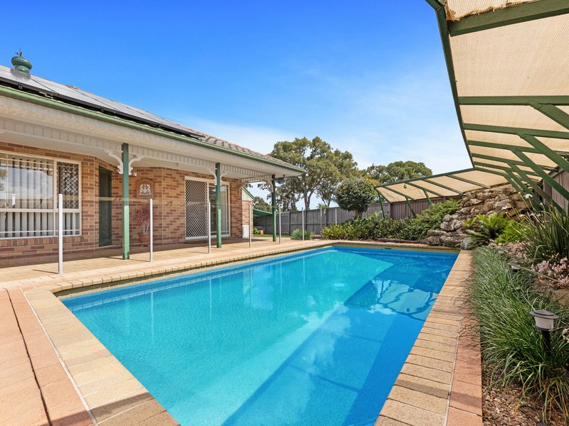 Photo - 12 Bowerbird Avenue, Eli Waters QLD 4655 - Image 2