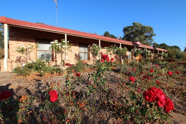 Photo - 12 Box Flat Road, O'Connell NSW 2795 - Image 18