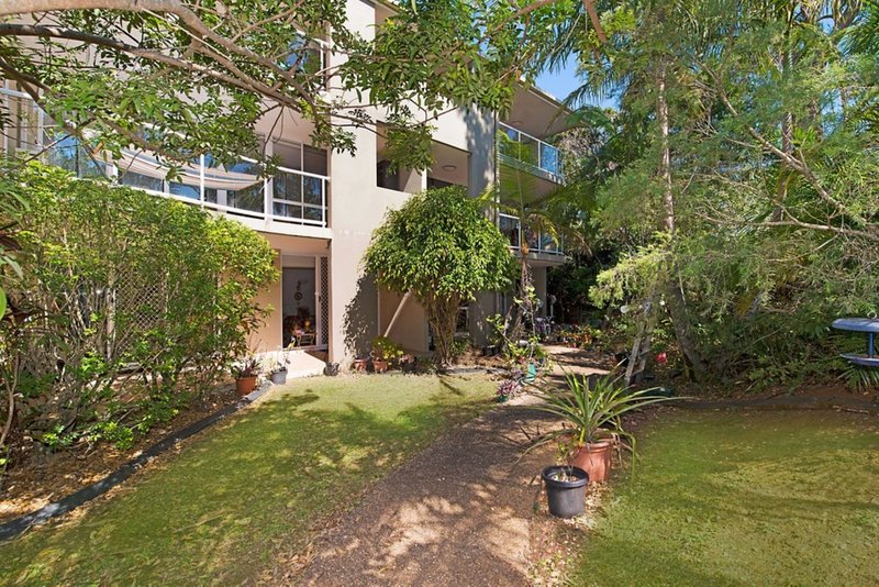 Photo - 1/2 Box Street, Buderim QLD 4556 - Image 2