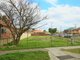 Photo - 12 Brandon Ave , Bankstown NSW 2200 - Image 3