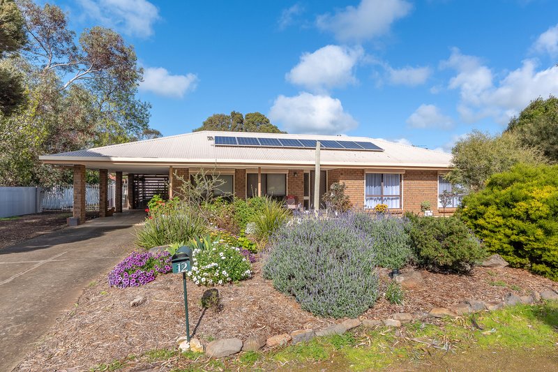 12 Burkett Drive, Strathalbyn SA 5255