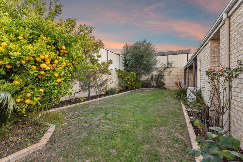 Photo - 12 Cactus Link, Clarkson WA 6030 - Image 21