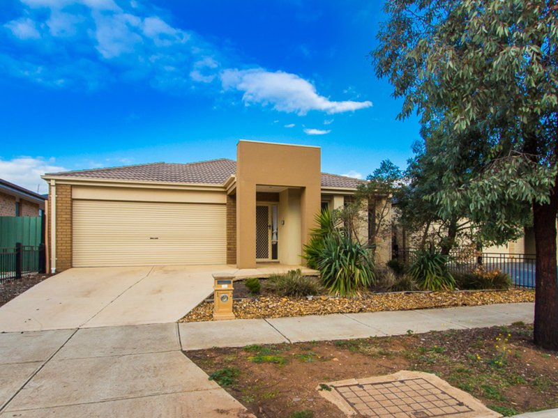 Photo - 12 Calita Avenue, Tarneit VIC 3029 - Image 3