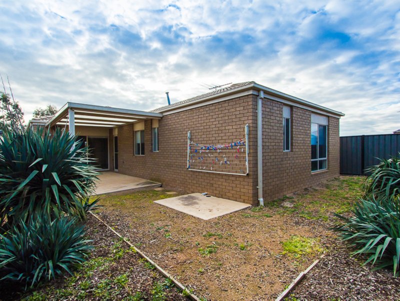 Photo - 12 Calita Avenue, Tarneit VIC 3029 - Image 16