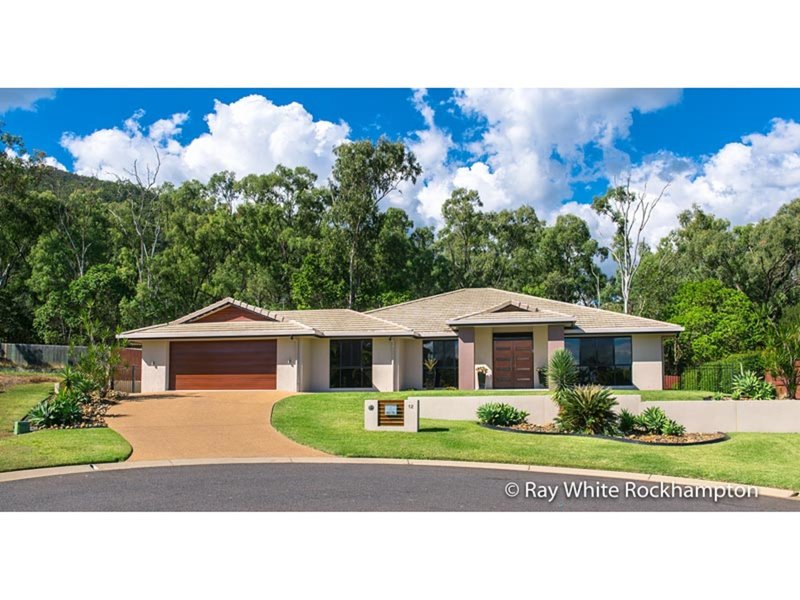 12 Candlebark Court, Frenchville QLD 4701