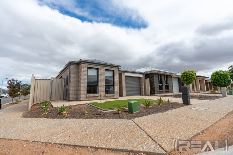 Photo - 12 Carbone Drive, Munno Para West SA 5115 - Image 3