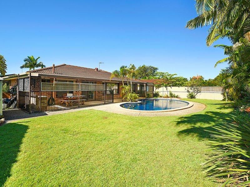 Photo - 12 Cassia Ct , Palm Beach QLD 4221 - Image 16