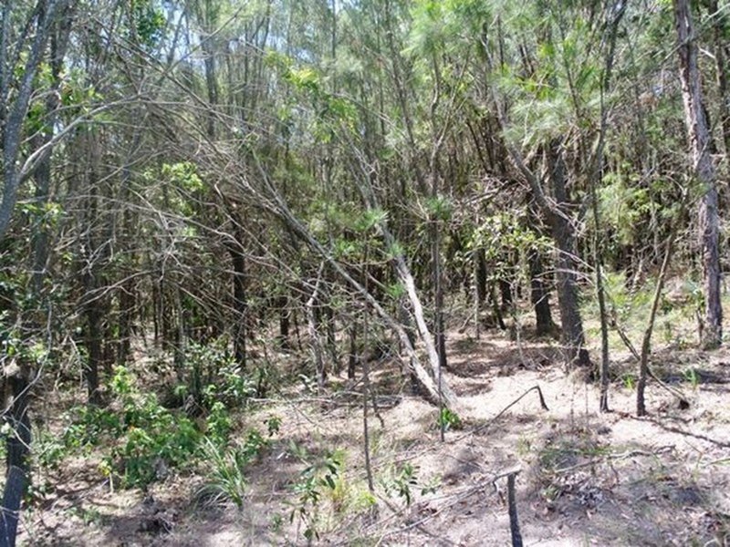 Photo - 12 Cluan Street, Macleay Island QLD 4184 - Image 3