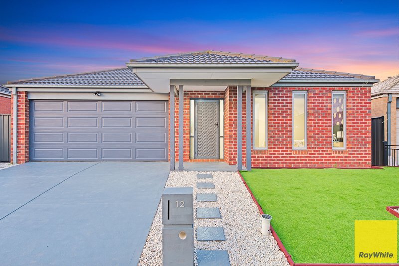 12 Cobram Street, Tarneit VIC 3029