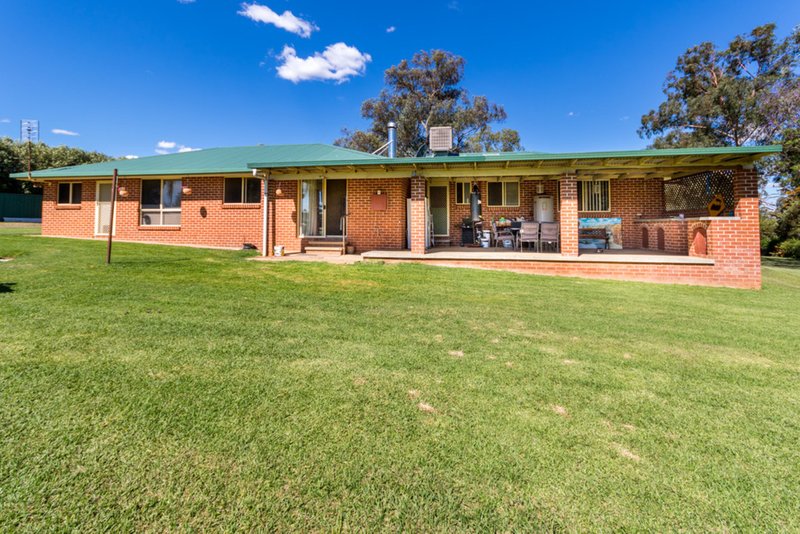 Photo - 12 Colwell Road, Kingswood NSW 2340 - Image 17