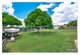 Photo - 12 Conaghan Street, Gracemere QLD 4702 - Image 5