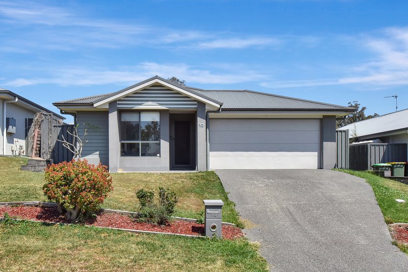 Photo - 12 Concord Circuit, Cliftleigh NSW 2321 - Image 1