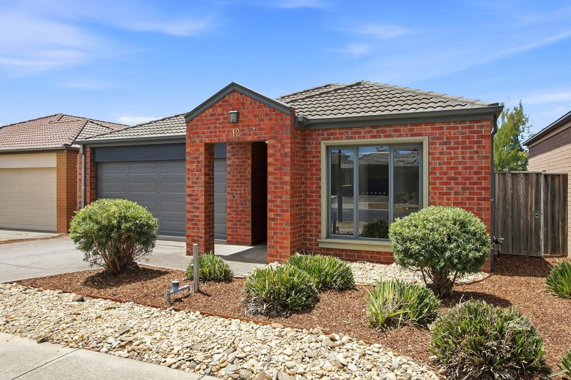Photo - 12 Corfu Avenue, Tarneit VIC 3029 - Image 24