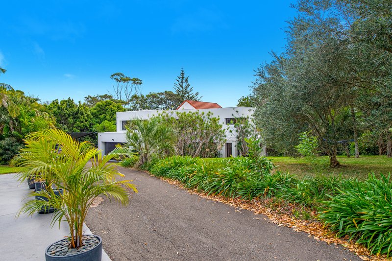 Photo - 12 Daintree Lane, Port Macquarie NSW 2444 - Image 3