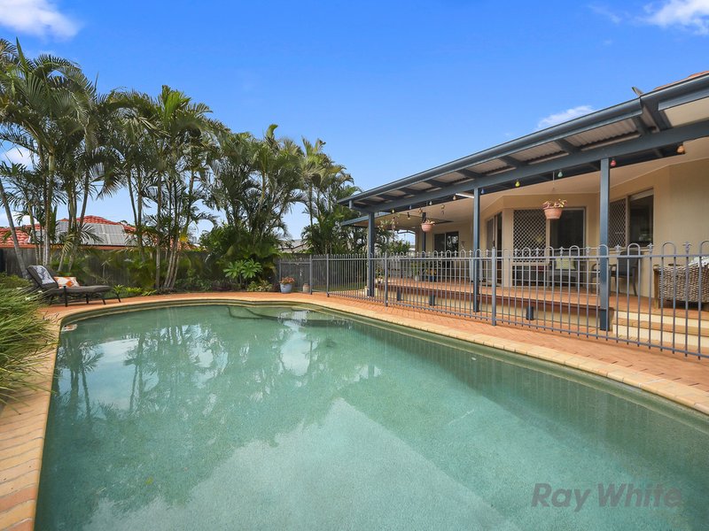 Photo - 12 Delia Close, Bracken Ridge QLD 4017 - Image 10