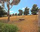 Photo - 12 Dysart Drive, Dysart TAS 7030 - Image 15