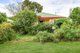 Photo - 12 Elizabeth Street, Tamworth NSW 2340 - Image 10