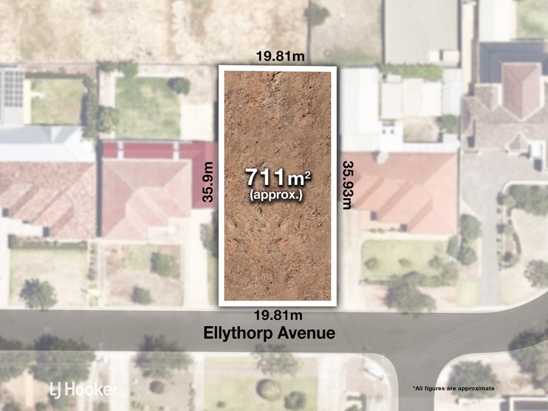 Photo - 12 Ellythorp Avenue, Hectorville SA 5073 - Image 3