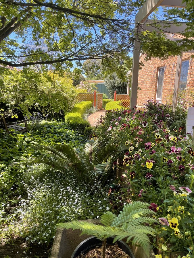 Photo - 12 Firbank Close, Isabella Plains ACT 2905 - Image 20
