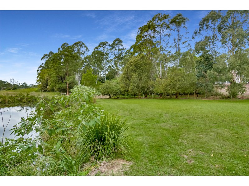 Photo - 12 Freeman Court, Witta QLD 4552 - Image 23