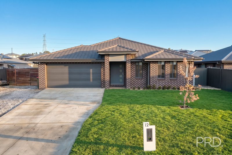 Photo - 12 Galah Drive, Tamworth NSW 2340 - Image 1