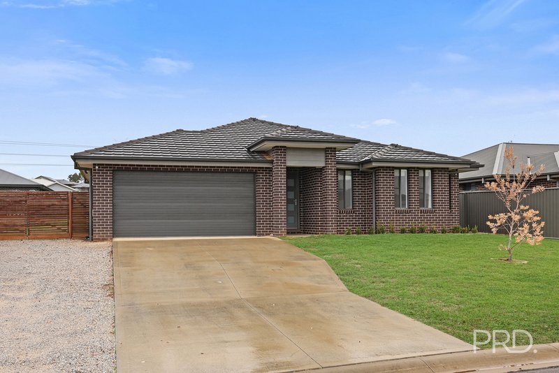 Photo - 12 Galah Drive, Tamworth NSW 2340 - Image 2