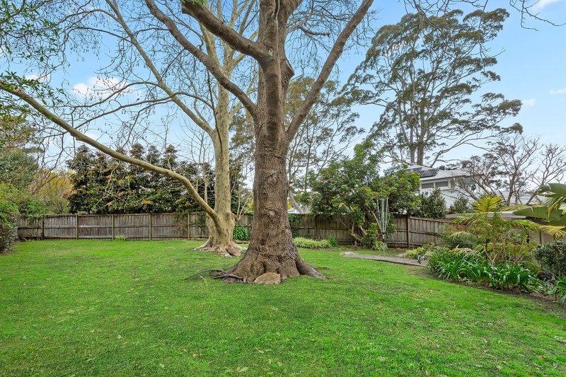 Photo - 12 Gilbert Place, Frenchs Forest NSW 2086 - Image 6