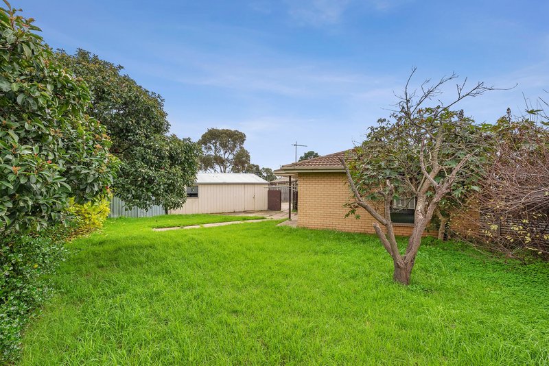 Photo - 12 Goodall Court, Corio VIC 3214 - Image 6