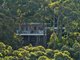 Photo - 12 Gretty Lane, Lower Beechmont QLD 4211 - Image 20