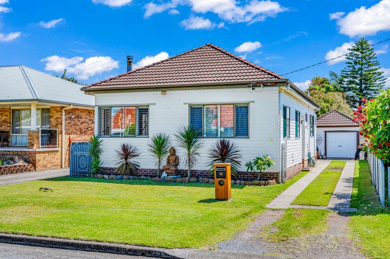 12 Harry Street, Belmont South NSW 2280