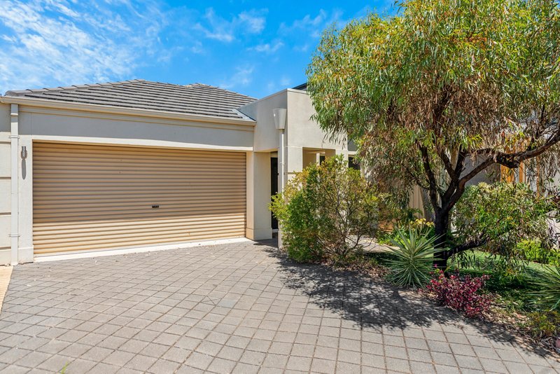 12 Henderson Street, Henley Beach SA 5022