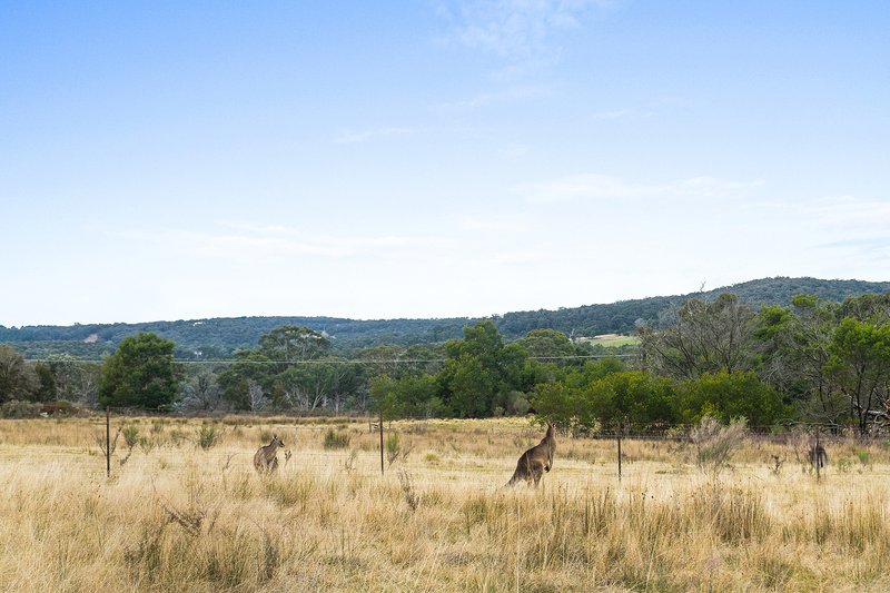 Photo - 12 Herdwick Place, Marulan NSW 2579 - Image 6