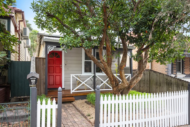 12 Holmesdale Street, Marrickville NSW 2204