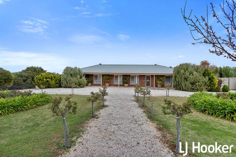 Photo - 12 Horseshoe Drive, Roseworthy SA 5371 - Image 2