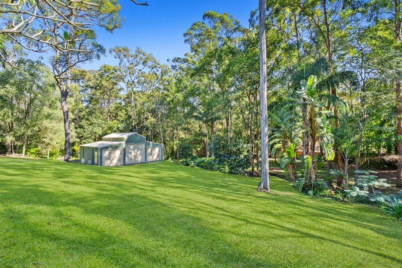 Photo - 12 Hugh Guinea Court, Worongary QLD 4213 - Image 22