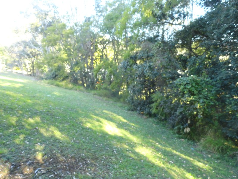 Photo - 12 Irwin St , Kyogle NSW 2474 - Image 4