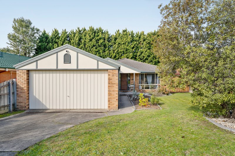 Photo - 12 Jeremic Court, Croydon North VIC 3136 - Image