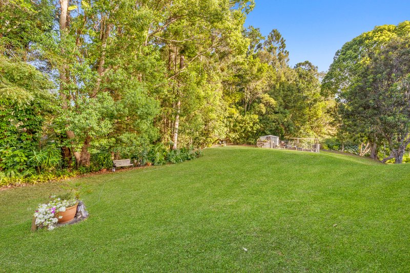 Photo - 12 Joanne Court, Currumbin Valley QLD 4223 - Image 32