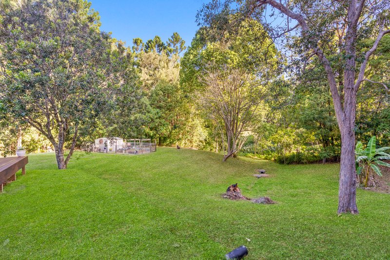 Photo - 12 Joanne Court, Currumbin Valley QLD 4223 - Image 35